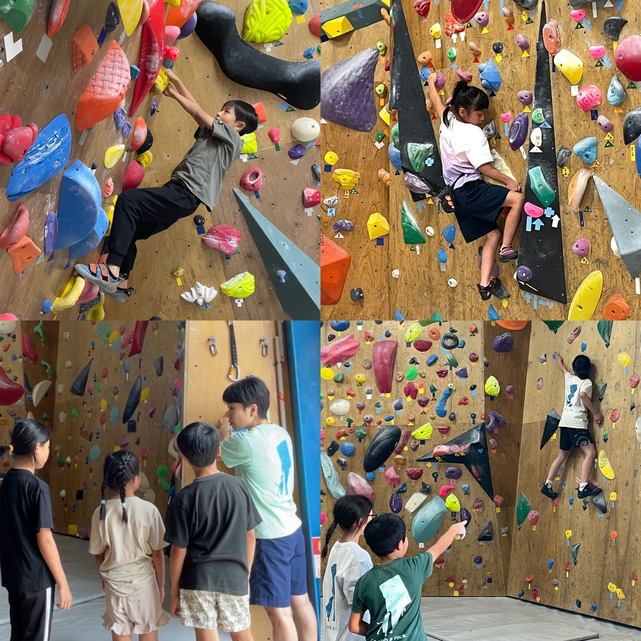 F3D47DCD-9C0A-481D-80E7-86B42AFFFA7D